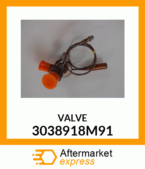 VALVE 3038918M91