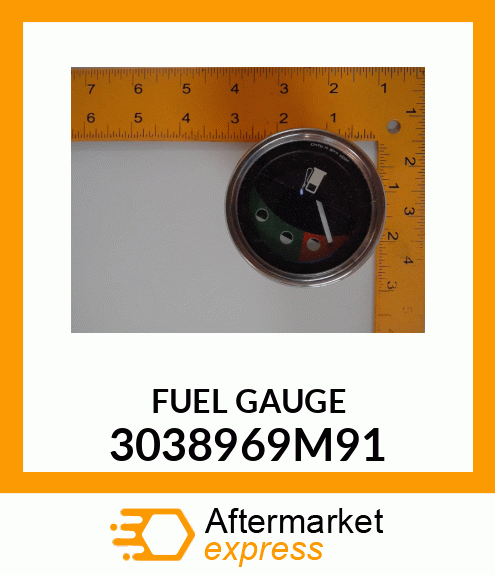 FUELGAUGE 3038969M91