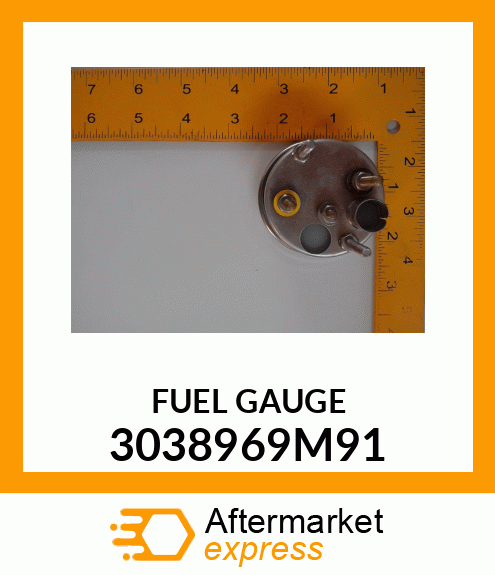 FUELGAUGE 3038969M91