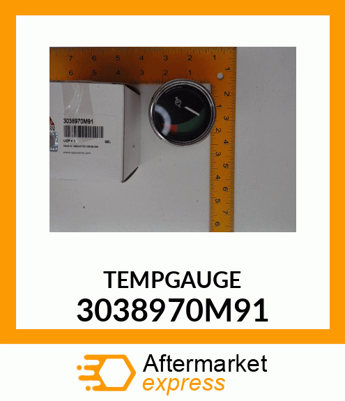 TEMPGAUGE 3038970M91