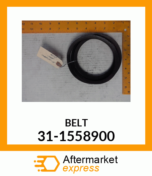 BELT 31-1558900