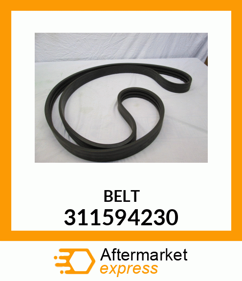 BELT 31-1594230