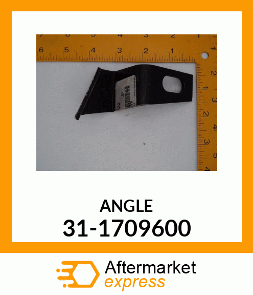 ANGLE 31-1709600