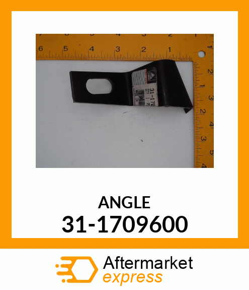 ANGLE 31-1709600