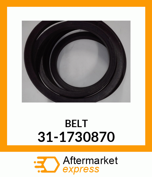 BELT 31-1730870