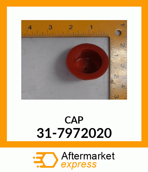 CAP 31-7972020