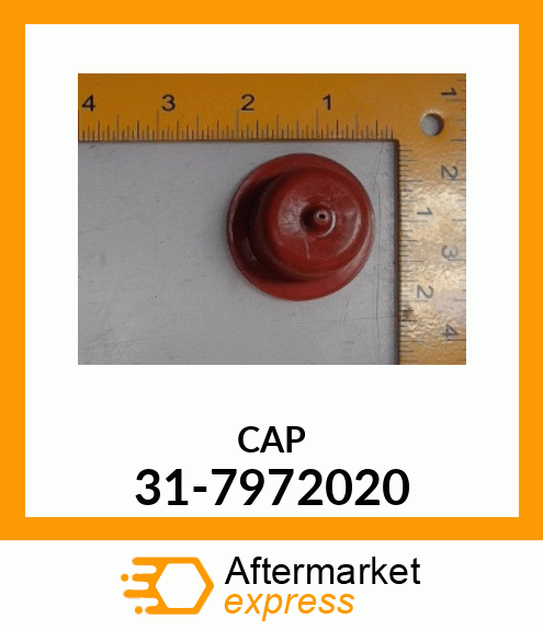 CAP 31-7972020