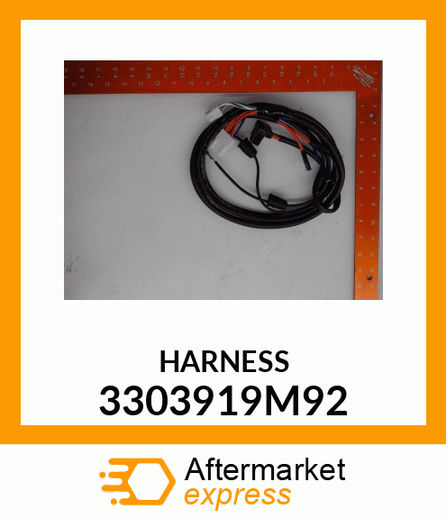 HARNESS 3303919M92