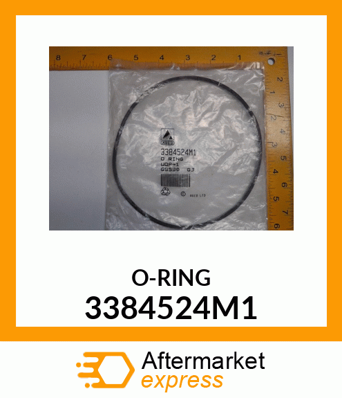 O-RING 3384524M1