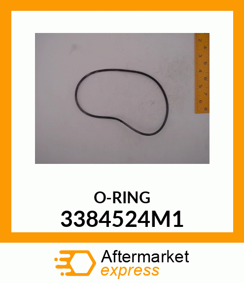 O-RING 3384524M1