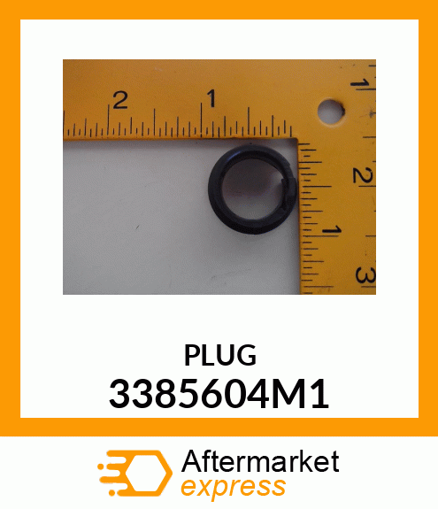 PLUG 3385604M1