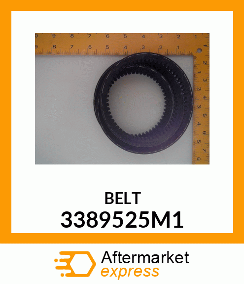 BELT 3389525M1