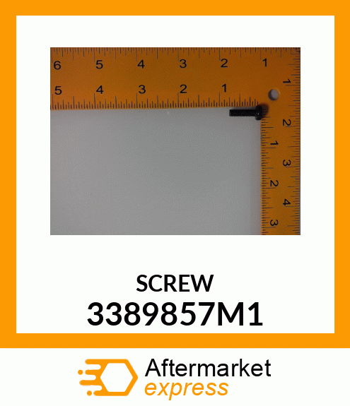 SCREW 3389857M1