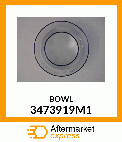 BOWL 3473919M1