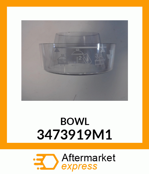 BOWL 3473919M1