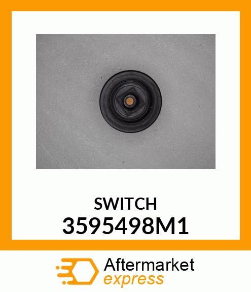 SWITCH 3595498M1