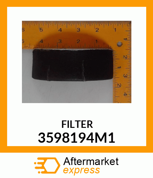 FILTER 3598194M1