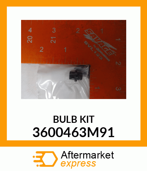 BULBKIT 3600463M91