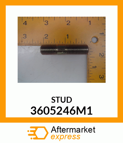 STUD 3605246M1