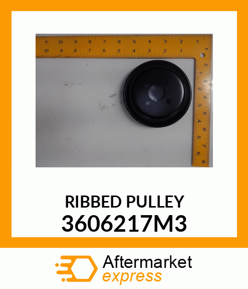 RIBBED_PULLEY 3606217M3