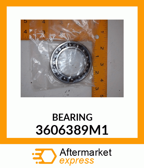 BEARING 3606389M1