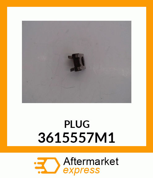 PLUG 3615557M1