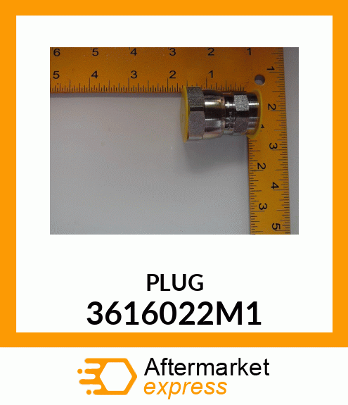 PLUG 3616022M1