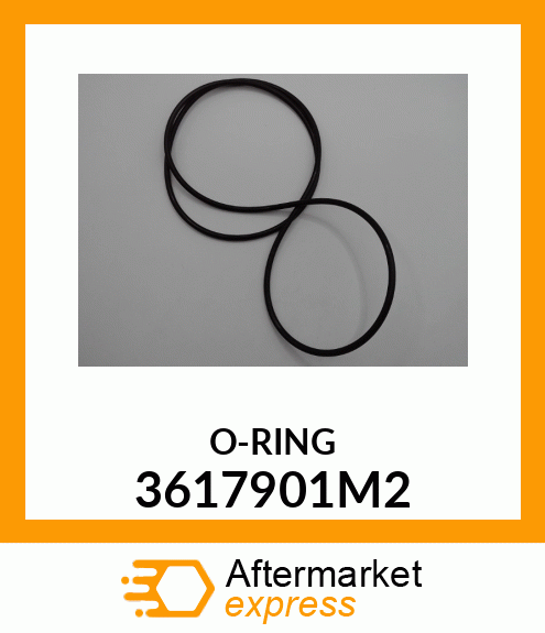 O-RING 3617901M2