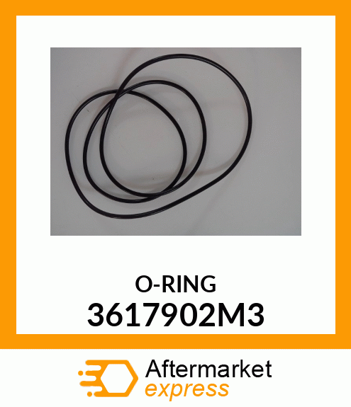 O-RING 3617902M3