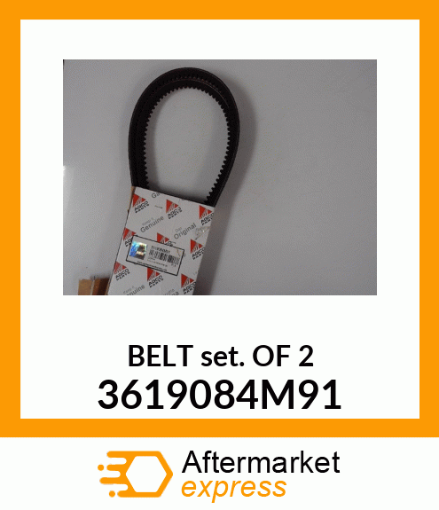 BELTSETOF2 3619084M91