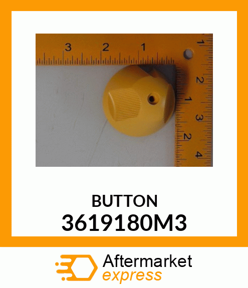 BUTTON 3619180M3