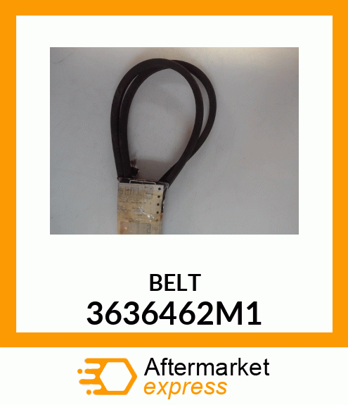 BELT 3636462M1