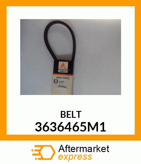 BELT 3636465M1