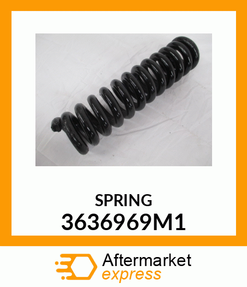 SPRING 3636969M1