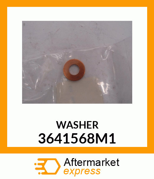 WASHER 3641568M1