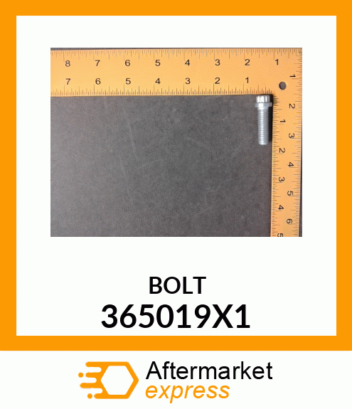 BOLT 365019X1