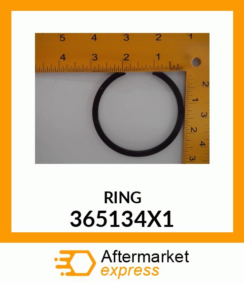 RING 365134X1