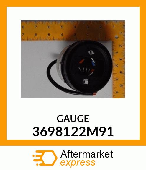 GAUGE 3698122M91