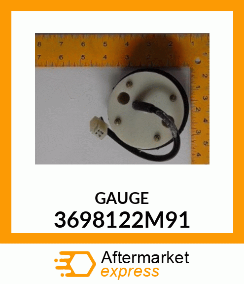 GAUGE 3698122M91