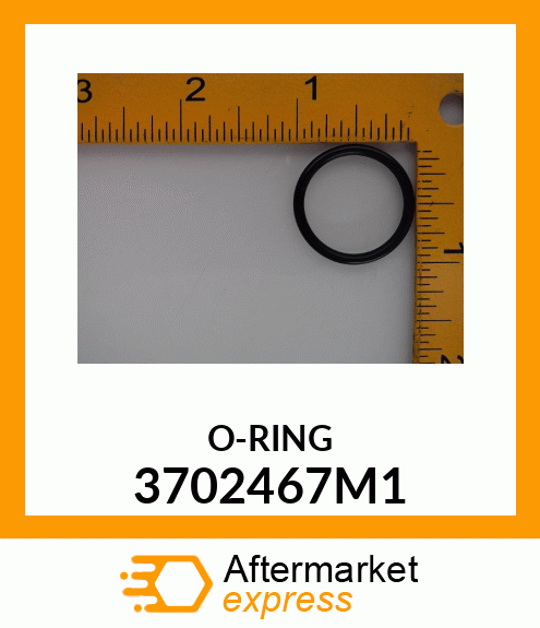 O-RING 3702467M1