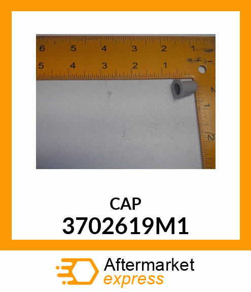 CAP 3702619M1