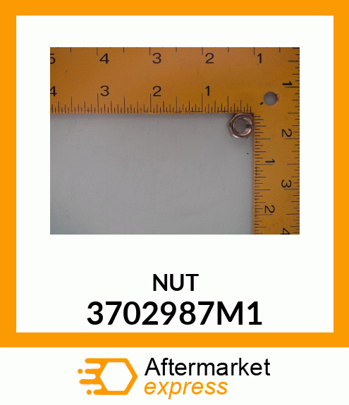 NUT 3702987M1