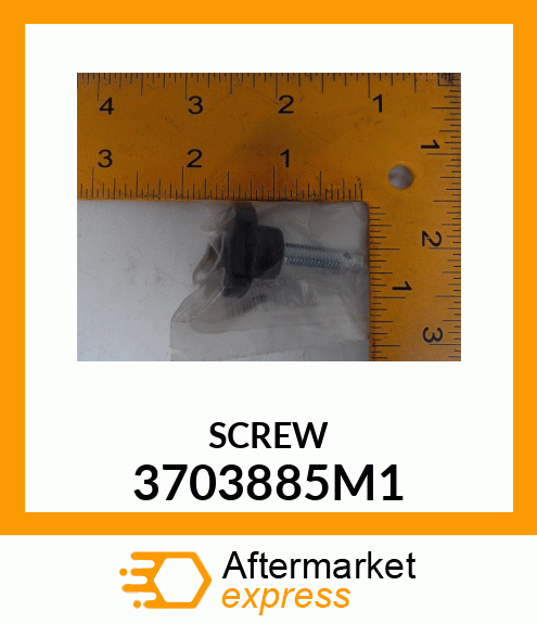 SCREW 3703885M1