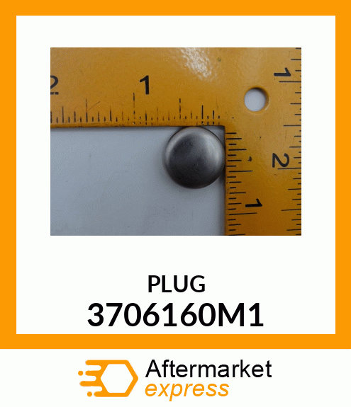 PLUG 3706160M1