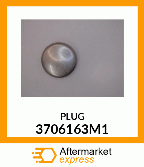 PLUG 3706163M1