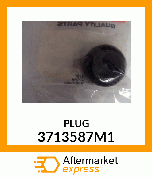 PLUG 3713587M1