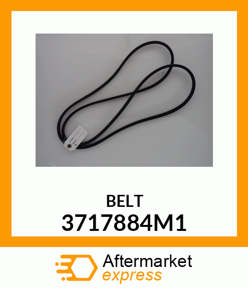 BELT 3717884M1