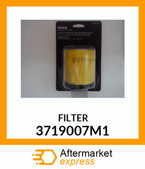 FILTER 3719007M1