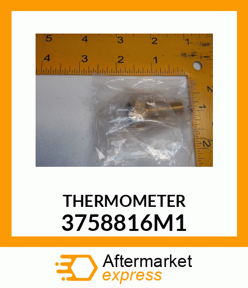 THERMOMETER 3758816M1