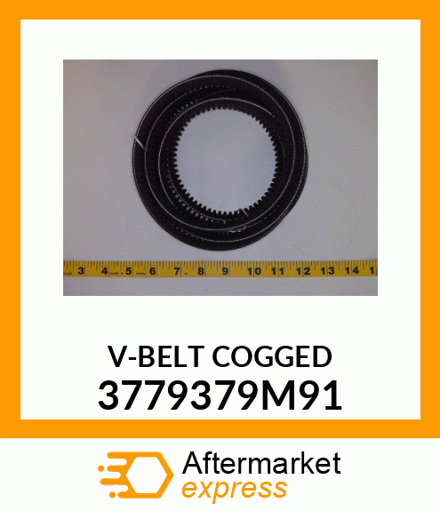 BELT 3779379M91